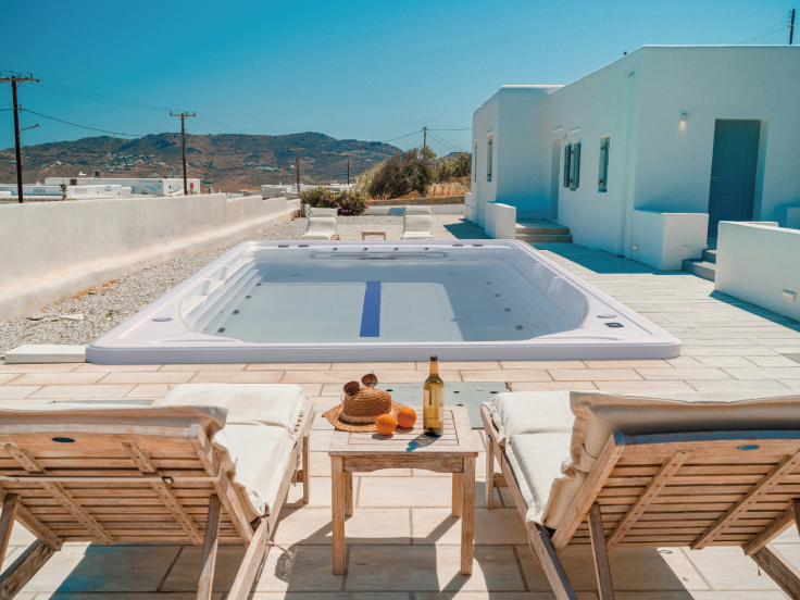 Swim spa
